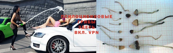 a pvp Арсеньев